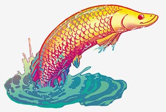 Illustration 223423423