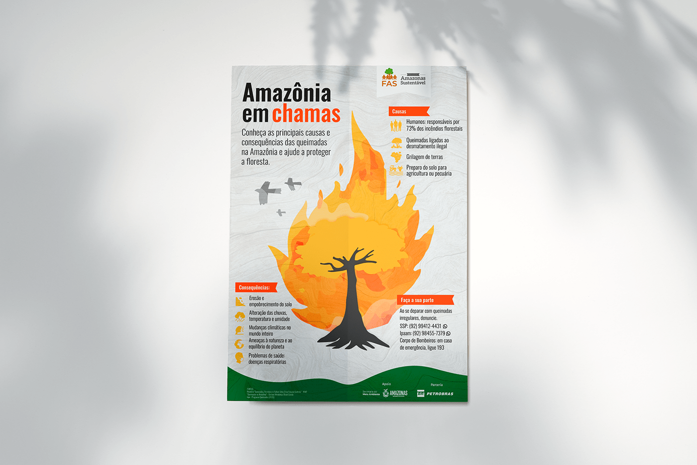 Campanha Publicitária